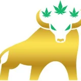 10th Street Cannabis Co.