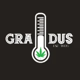 Gradus Hollywood